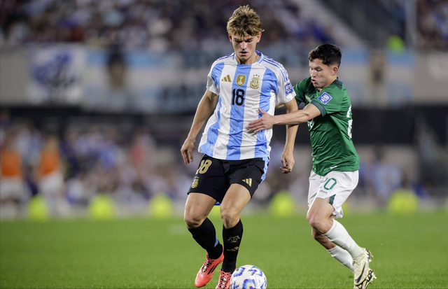 逐渐成长为 逐渐成长为